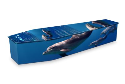 Pacific Dolphins