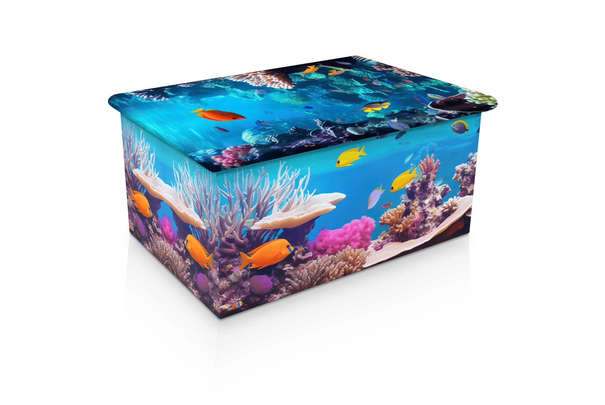 Tropical Ocean