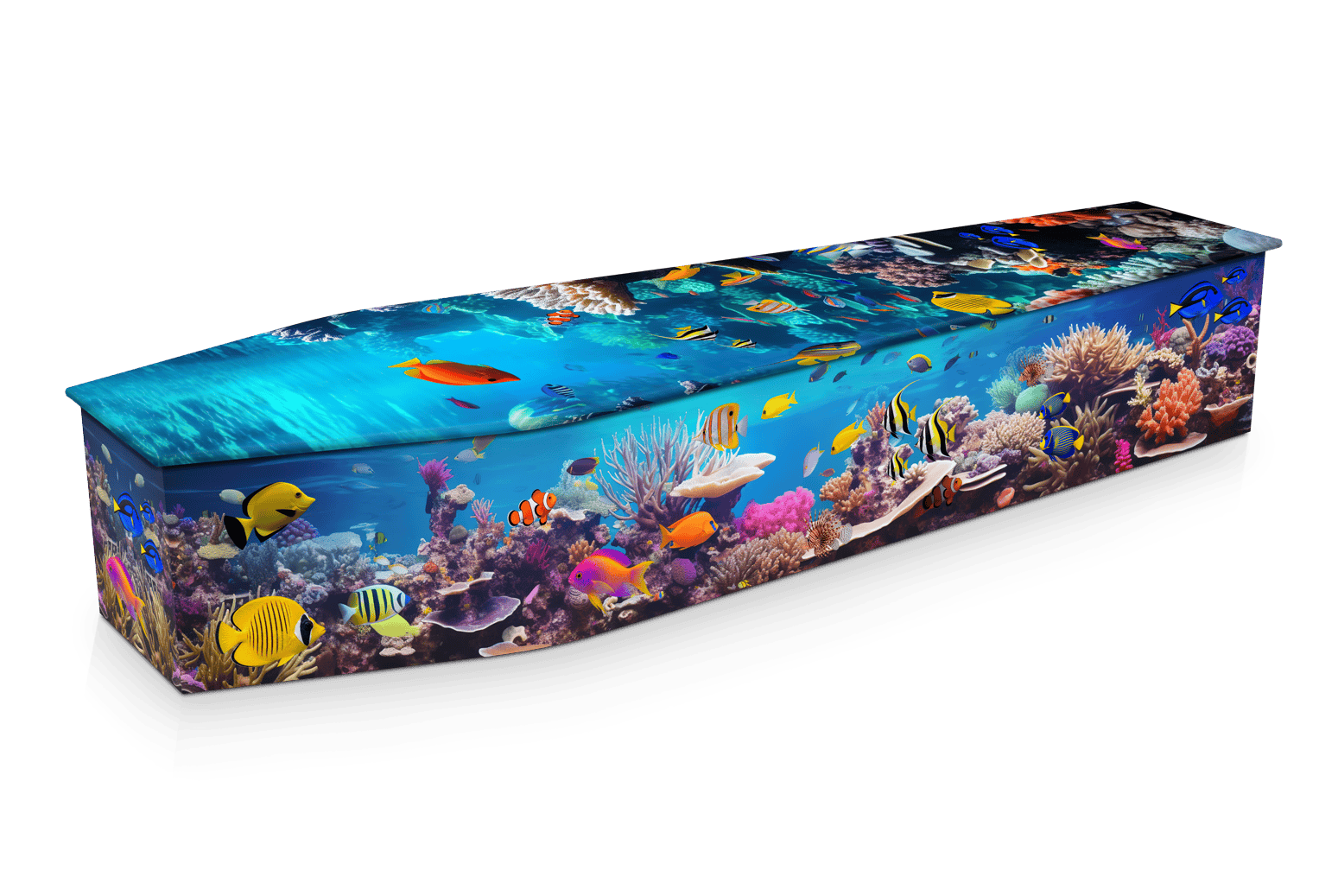 Tropical Ocean
